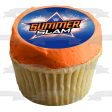 WWE Summer Slam World Wrestling Entertainment Fireworks Blue Background Edible Cake Topper Image ABPID01306 Discount