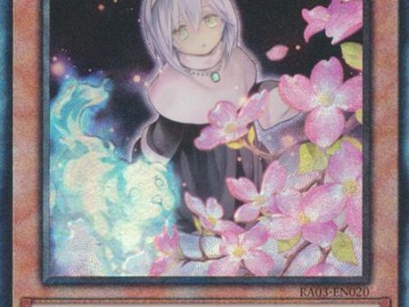 Ghost Sister & Spooky Dogwood (UTR) [RA03-EN020] Prismatic Ultimate Rare Cheap