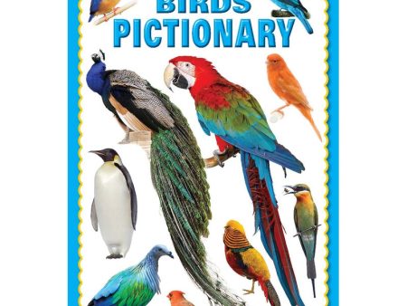 My Jumbo Birds Pictionary Fashion