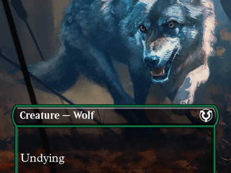 Young Wolf (Borderless) [Innistrad Remastered] For Sale