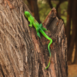 3D Lizard Prank Toy (Set of 2 Lizards) Online Sale