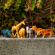 Wild Animals Playset for Kids (Set of 6 Animal Toys) Online Sale