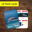 Sea Creatures Double Sided Flash Cards For Sale