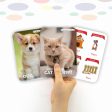 Animals Double Sided Flash Cards Hot on Sale