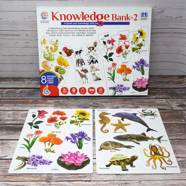 Knowledge Bank (Type 2) Educational Game For Kids For Sale