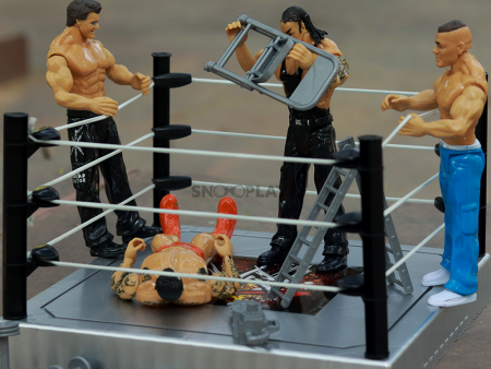 WWF Action Figures Set with Ring on Sale